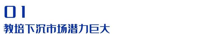 教培下沉市场潜力巨大，然而机构该怎样乘风破浪？插图(1)