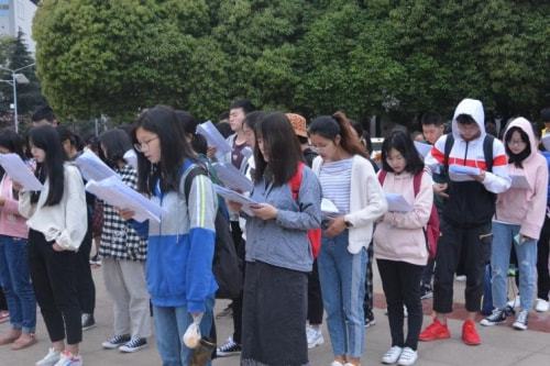 学了小半年语感有很大的提升，我的英语学习心得分享，羊驼子枫插图(8)