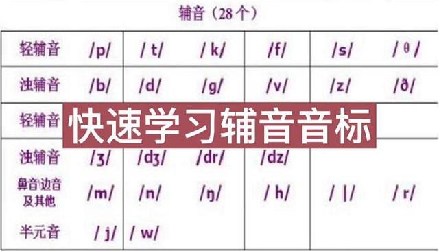 英语国际音标表插图(3)