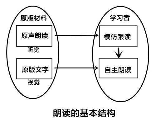 家校论坛丨小学阶段英语朗读技巧插图