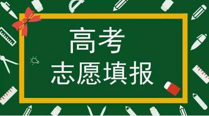 工作经验:高考估分后，为什么很多人都要学雅思托福？插图