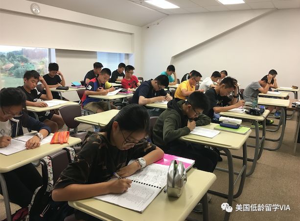 即将开启:VIA2019年暑期托福集训班开始招生插图(1)