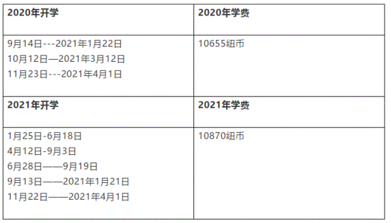 工作经验:新西兰八大语言直升班线上课程招生了！学费和开学信息都在这里！插图(4)