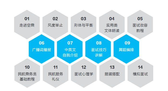 高考空乘集训学什么