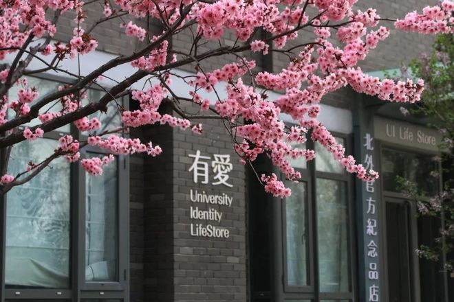 遗憾:高考最后三个月，如何提前锁定双一流？3月19日，北京外国语大学，给出答案！插图(7)