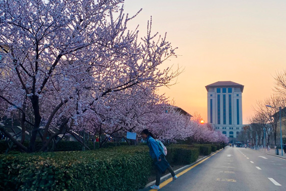 山西太原出国留学申请