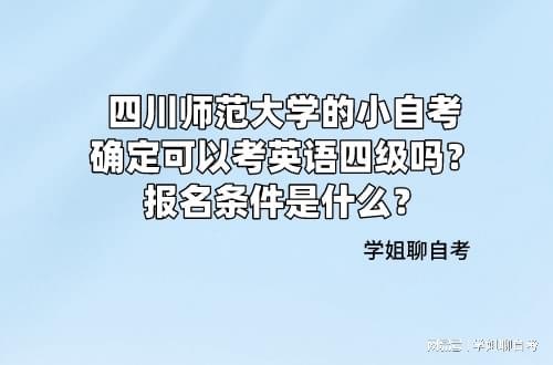 工作经验:四川师范大学的小自考确定可以考英语四级吗？报名条件是什么？插图(4)