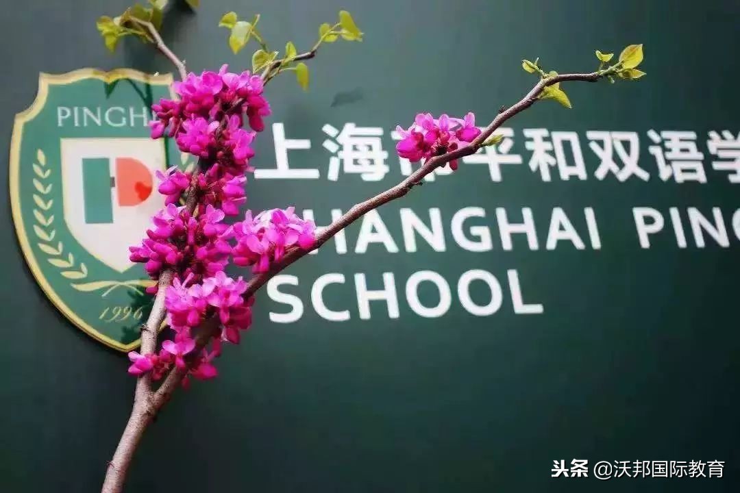 上海｜2019沪上国际学校入学考试及备考建议全攻略