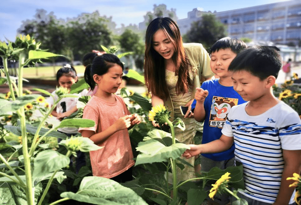 令人神往:最美教师|与红领巾同行 像花儿一样灿烂 ——青山区武东小学邵文秀老师插图(1)