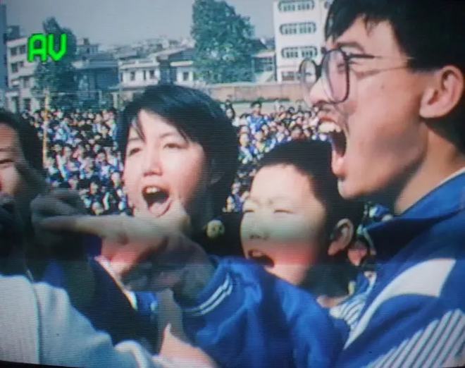 理论知识:中国学生最花钱的科目，怎么不香了？插图(9)